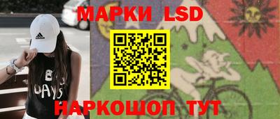 индика Вязники