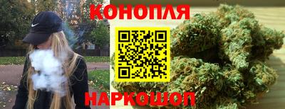 a pvp Вязьма