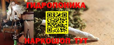 a pvp Вязьма
