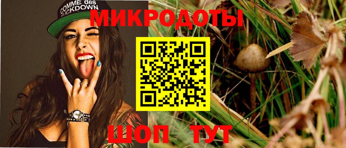 Галлюциногенные грибы GOLDEN TEACHER  Вход с VPN  что такое наркотик  Ахтубинск 